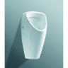 Писсуар LAUFEN CAPRINO PLUS под внутренний налив 8.4206.1.000.000.1